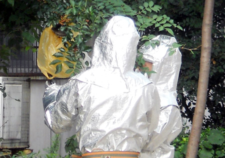 毒蜂頻頻傷人 河南漯河一小區居民不敢出門
