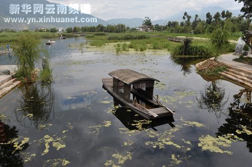 大理濕地保護(hù)見(jiàn)成效