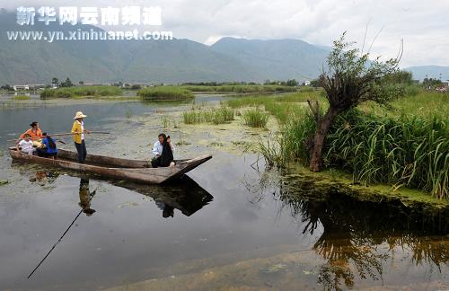 大理濕地保護見成效