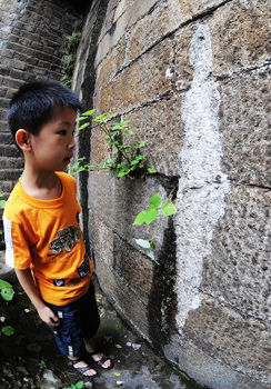 天心閣城墻現“白斑”