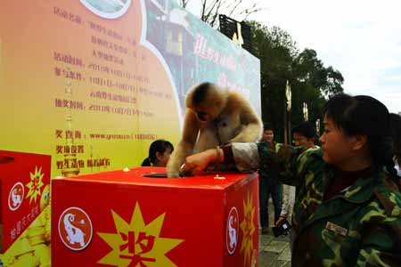十·一逛云南野生動物園 贏版納免費游