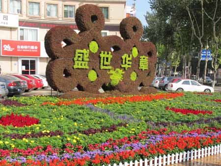 600萬(wàn)盆鮮花扮靚泉城濟(jì)南（圖）