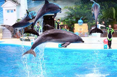 中國最大規(guī)模極地海洋動物館開館
