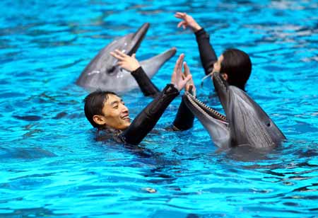 中國最大規(guī)模極地海洋動物館開館