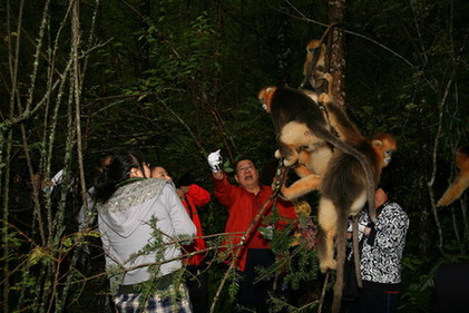 神農架喜迎十一黃金周高峰客流