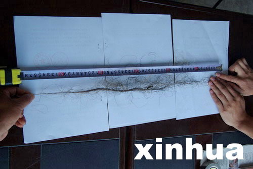 中國專家擬重新啟動神農(nóng)架“野人”科學(xué)考察