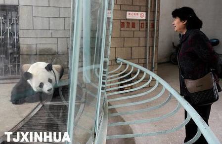 天氣轉涼暖籠舍