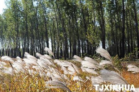 天津大力保護“京津之肺”