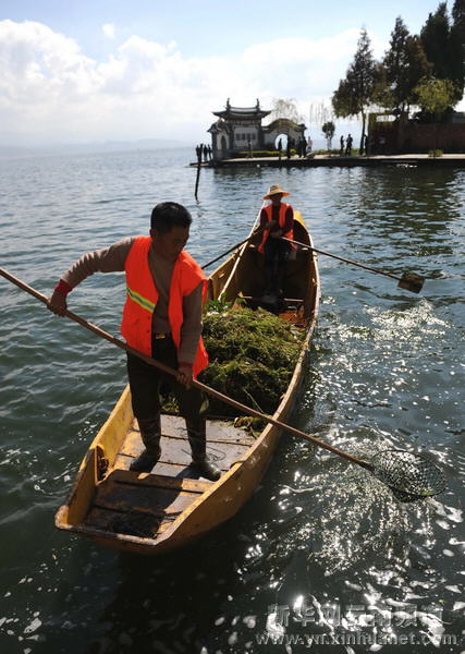 大理洱海水質提升 生態環境明顯改善