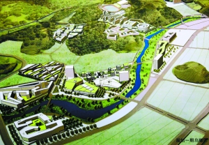 深圳南科大全球招聘 領軍教授年薪115萬起步