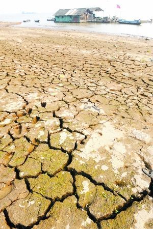 廣西近百縣市區(qū)發(fā)生秋旱(組圖)