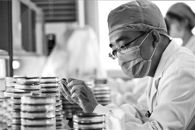 抗生素濫用調查:被視為萬能藥 占醫療費五成