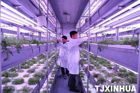 天津高端科技發(fā)展農(nóng)業(yè)