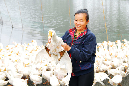 河南潢川上油崗鄉(xiāng)政府引導(dǎo)農(nóng)民創(chuàng)收