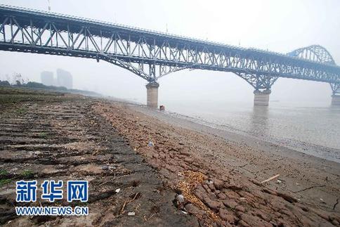 長江九江段水位持續下降(圖)