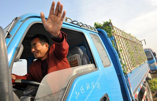 菜價究竟漲在哪里？