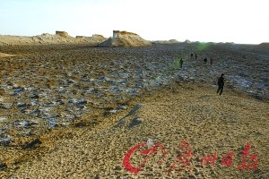 羅布泊最大規模科考結束 發現大面積農耕遺跡