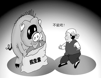 我國養(yǎng)殖業(yè)存在抗生素濫用 吃肉恐吃下