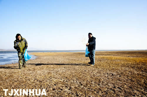 天鵝南遷蒞津門(mén)