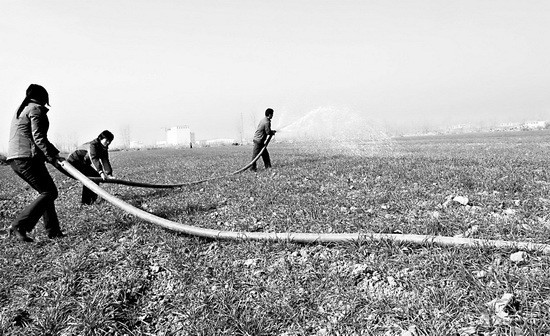 迅速行動奮力抗旱(圖)