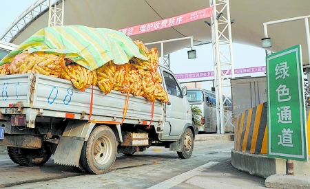 昨起 鮮活農(nóng)產(chǎn)品免費(fèi)通行