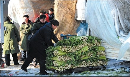 山東壽光蔬菜進京后漲數(shù)倍 菜農(nóng)中間商抱怨利薄