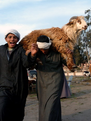 什么都漲就是工資不漲 全球工薪族抗戰通脹妙招