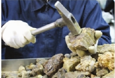 長(zhǎng)沙暫未發(fā)現(xiàn)假蜂膠 記者探秘制作全過(guò)程