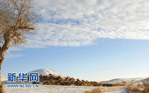 新疆阿勒泰百萬牲畜大轉(zhuǎn)場