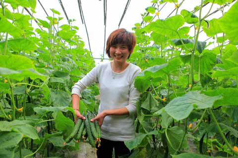 “農(nóng)超對(duì)接”穩(wěn)菜價(jià)（圖）