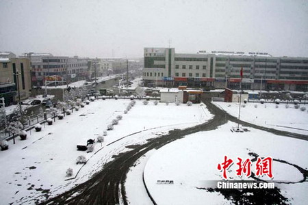 張家口壩上地區四月飛雪 農民稱“及時雪”