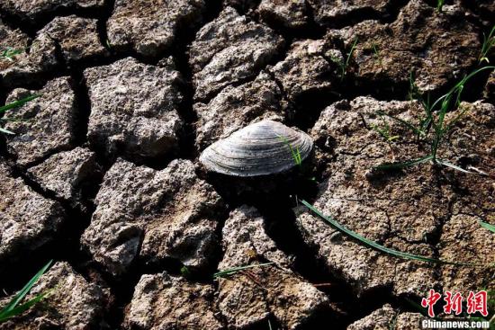 南方多省市現十年一遇旱情 三峽水庫開閘放水抗旱