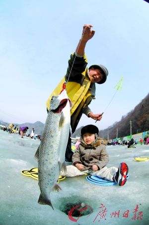 韓國美麗購（組圖）