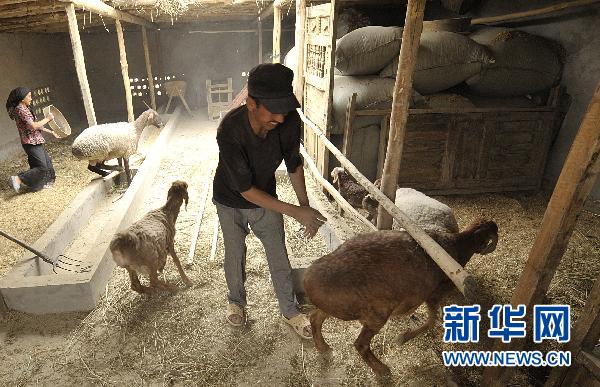 中央部署三大自治區(qū)發(fā)展戰(zhàn)略 促又好又快發(fā)展