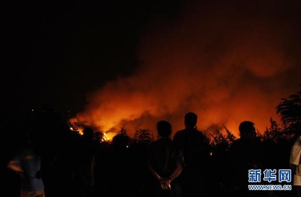 重慶國(guó)家級(jí)森林公園發(fā)生火災(zāi) 面積已超300畝