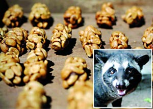 價值不菲！千奇百怪最貴之物