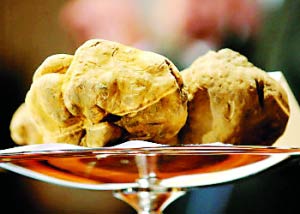 價值不菲！千奇百怪最貴之物