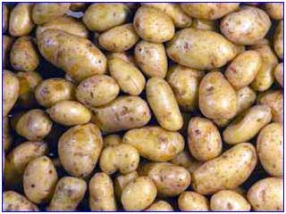 價值不菲！千奇百怪最貴之物