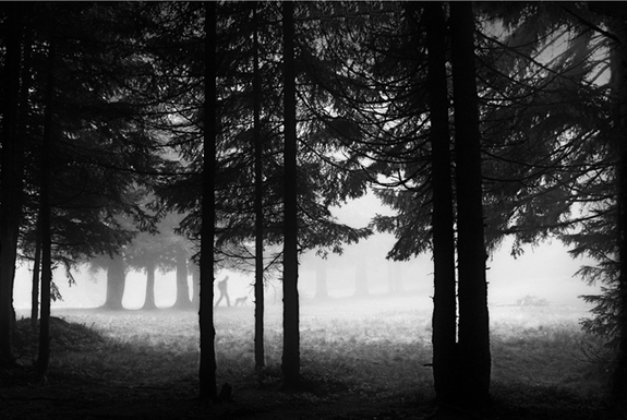 一起來(lái)看看世界各地的早晨