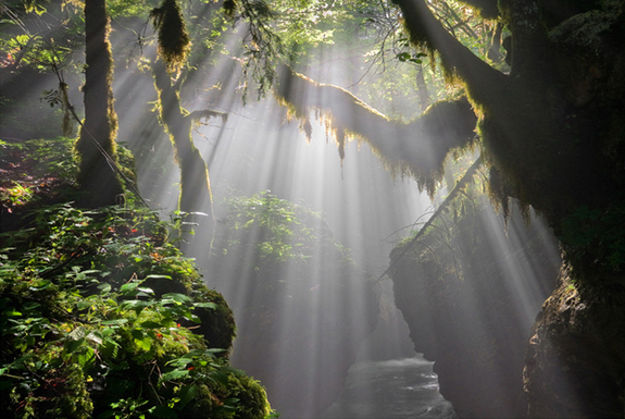 一起來看看世界各地的早晨