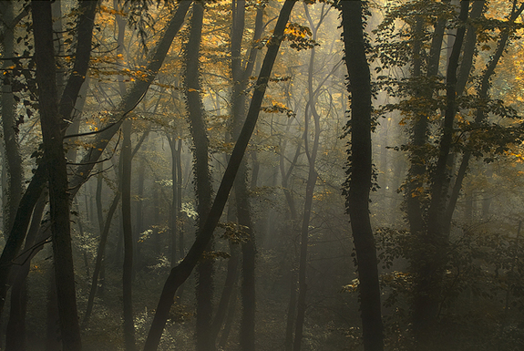 一起來看看世界各地的早晨