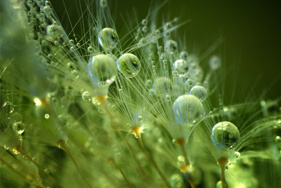 一起來看看世界各地的早晨