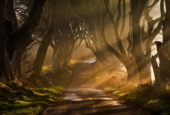 一起來看看世界各地的早晨