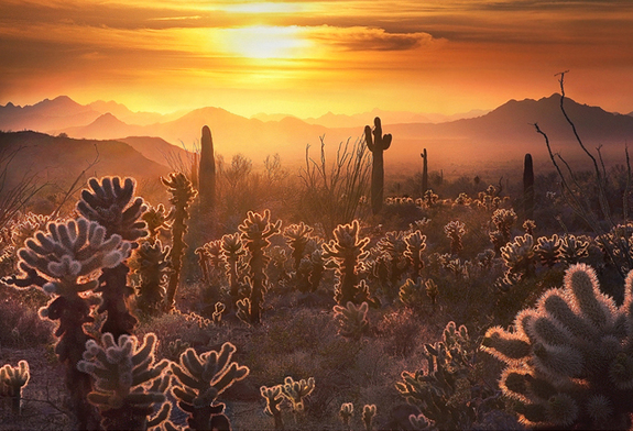 一起來看看世界各地的早晨