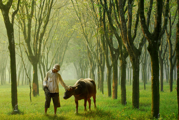 一起來看看世界各地的早晨