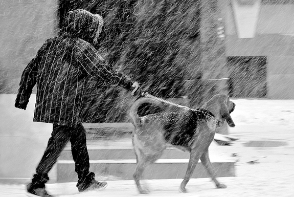 一起來看看世界各地的早晨
