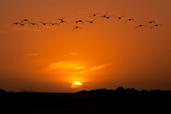 一起來(lái)看看世界各地的早晨