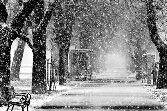 一起來看看世界各地的早晨