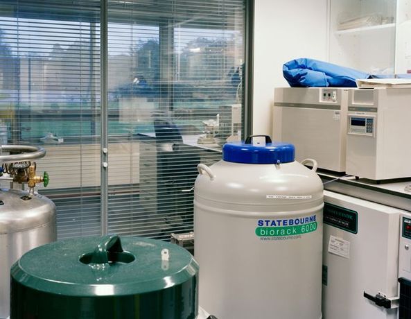 深入神秘的世界末日種子庫