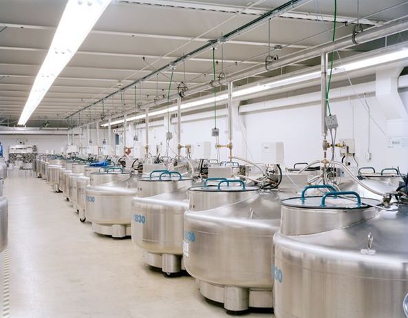 深入神秘的世界末日種子庫(kù)